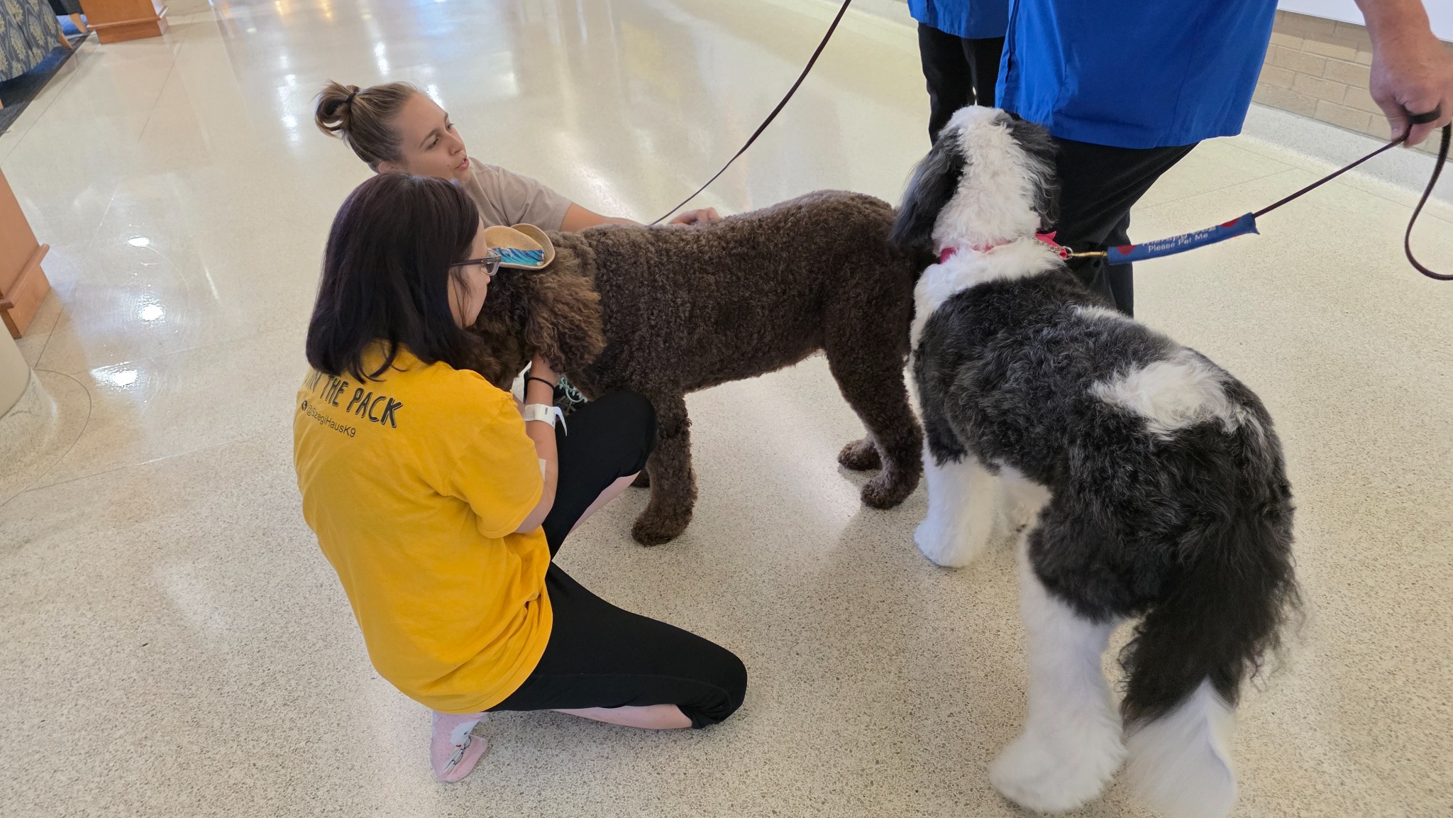 A moment of companionship with the therapy dogs