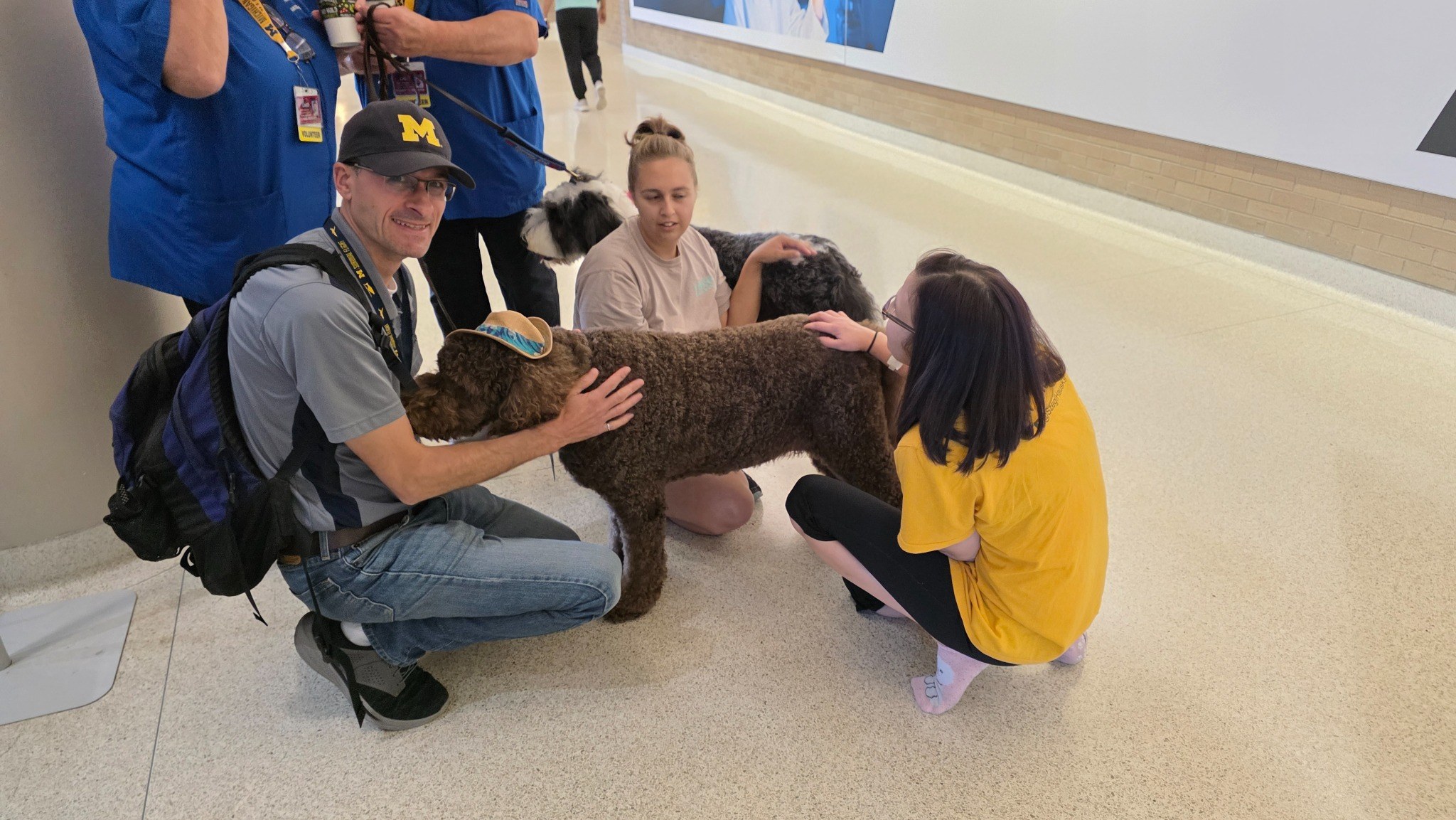 A friendly welcome from a therapy dog