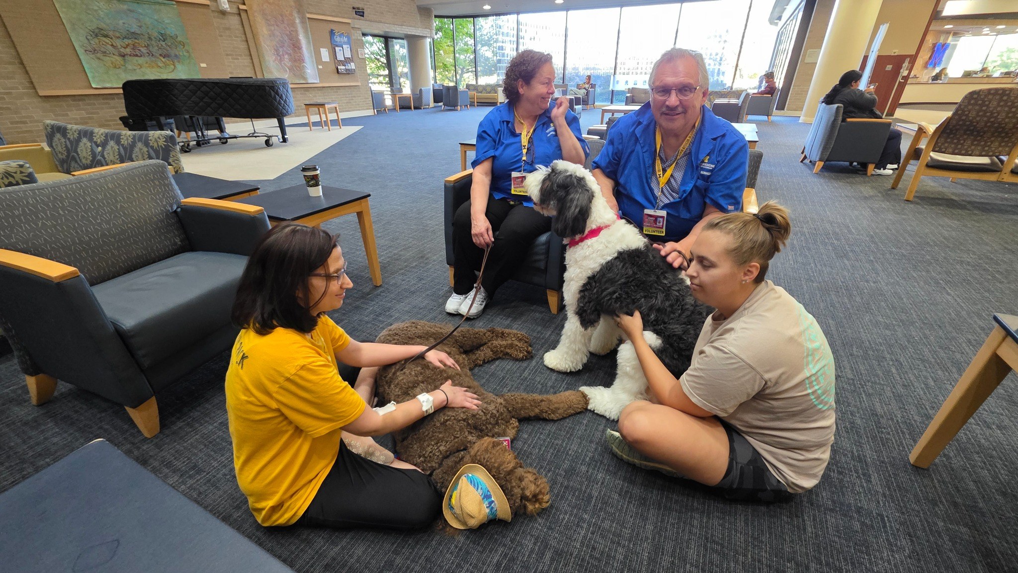 A shared moment with therapy dogs in the main lobby